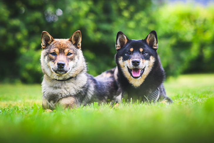 Ukázka mé práce - výběr z mého portfolia