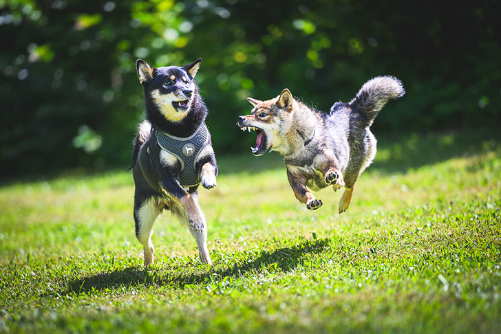 Ukázka mé práce - výběr z mého portfolia