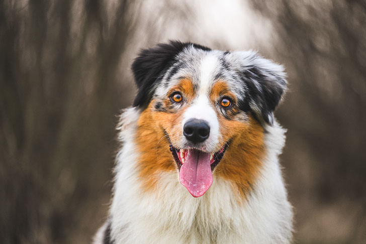 Ukázka mé práce - výběr z mého portfolia